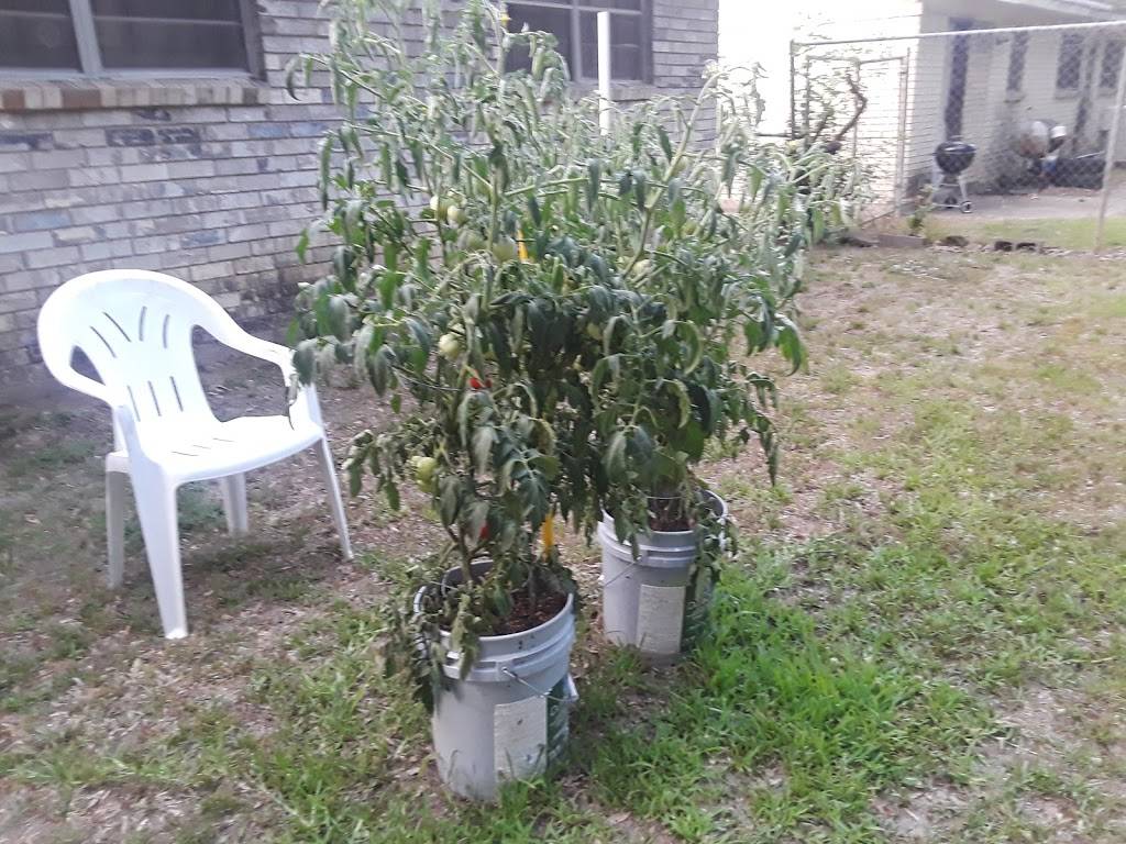 Experience Soul Food Cafe | restaurant | 2737 Willis St, Shreveport, LA 71107, USA | 3188203782 OR +1 318-820-3782