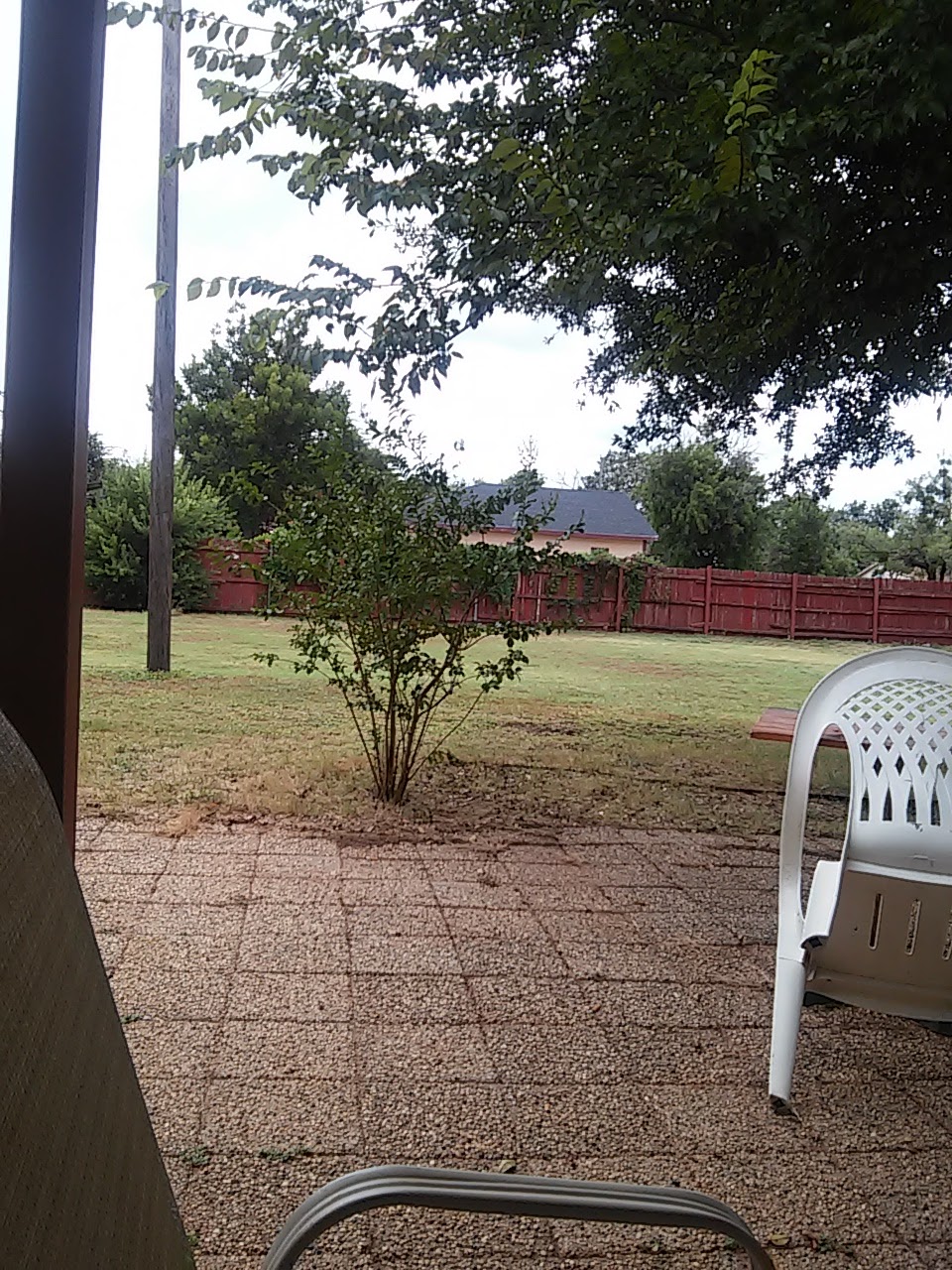 Bills Burger | restaurant | 834 S 11th St, Abilene, TX 79602, USA | 3256778442 OR +1 325-677-8442