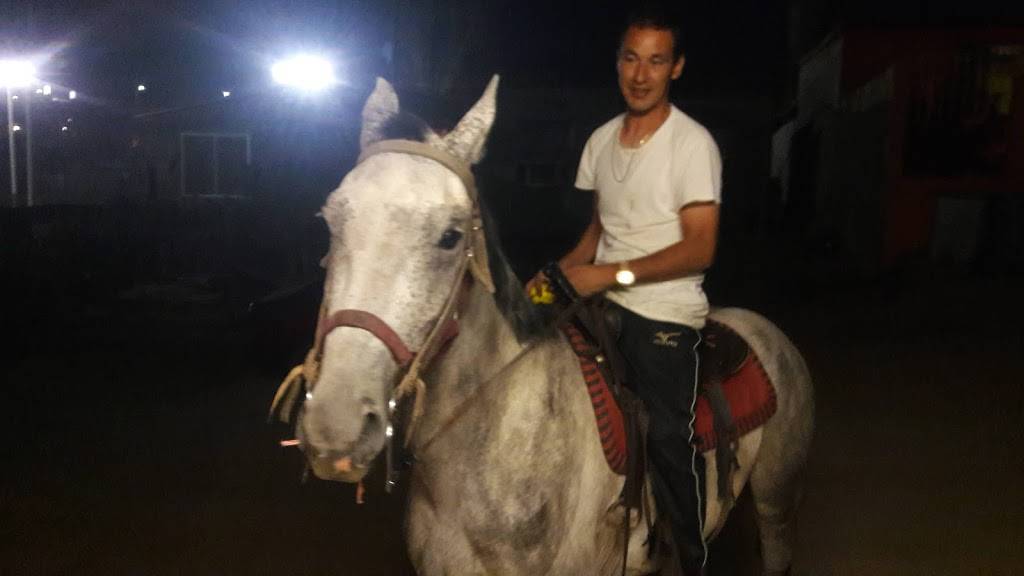 Restaurante Espiga De Oro | restaurant | Popular 1989, 22810 Ensenada, B.C., Mexico | 016462049518 OR +52 646 204 9518