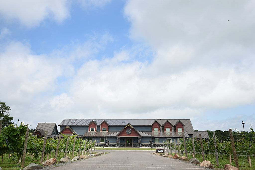 Dancing Dragonfly Winery | restaurant | 2013 120th Ave, St Croix Falls, WI 54024, USA | 7154839463 OR +1 715-483-9463