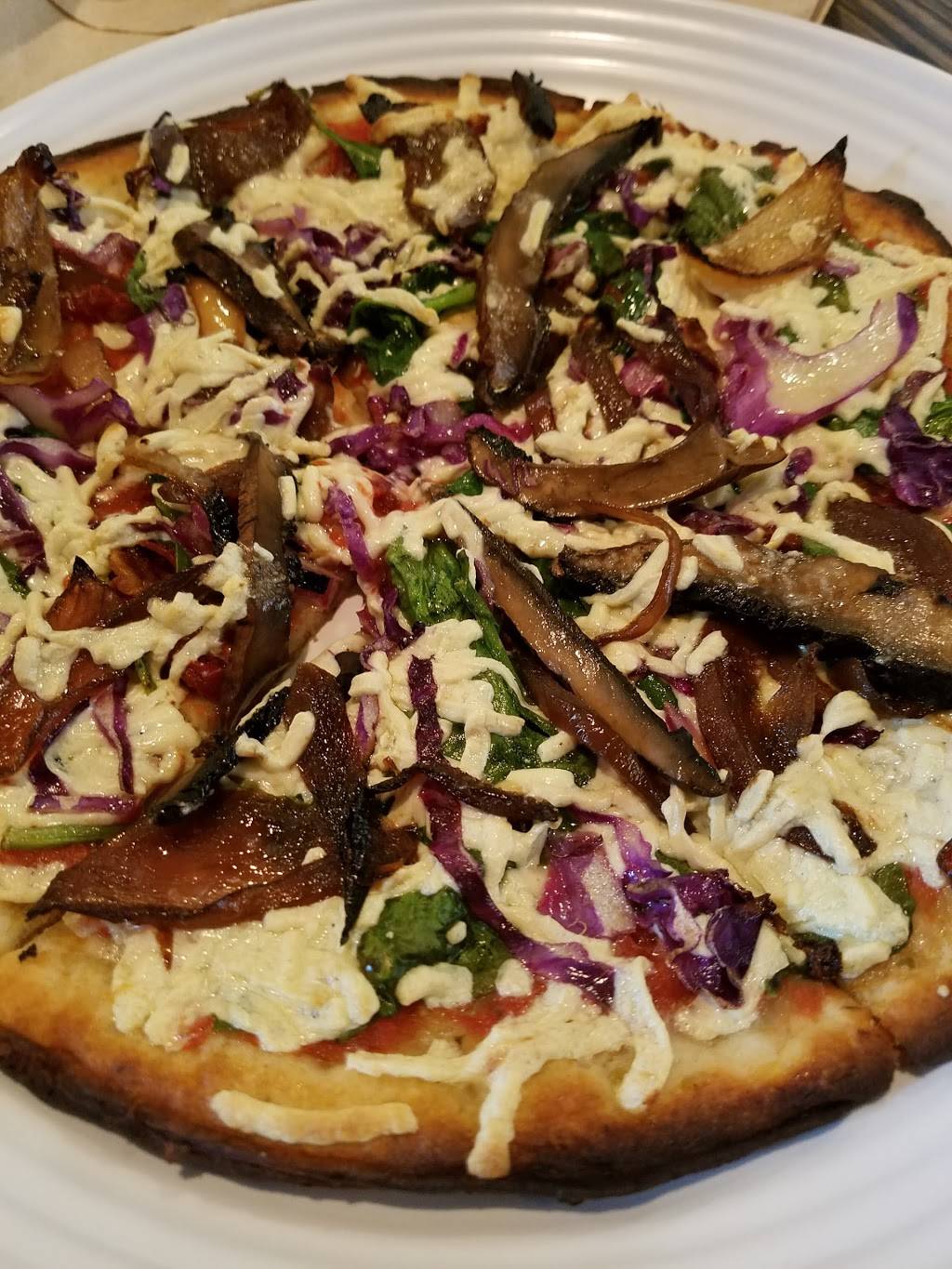 Gourmet Pizza Company | restaurant | 610 S Armenia Ave, Tampa, FL 33609, USA | 8132581999 OR +1 813-258-1999