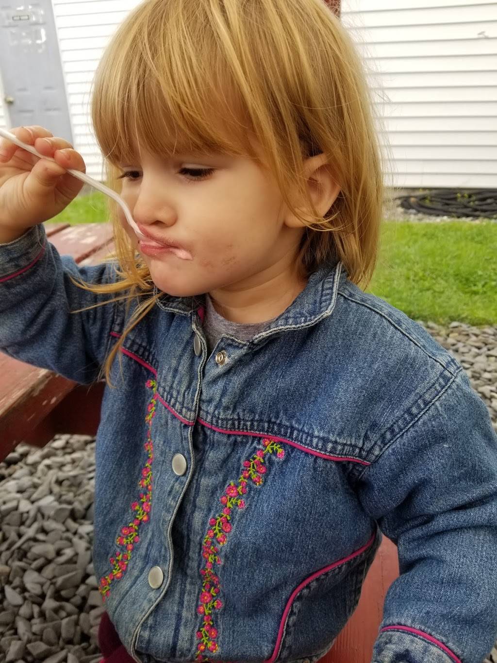 Mountain View Snack Bar | meal takeaway | 32 Carey Rd, Hardwick, VT 05843, USA | 8024723053 OR +1 802-472-3053