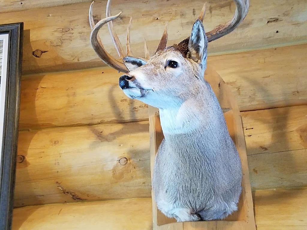 Whitetail Inn | restaurant | 9038 WI-70, St Germain, WI 54558, USA | 7155422541 OR +1 715-542-2541