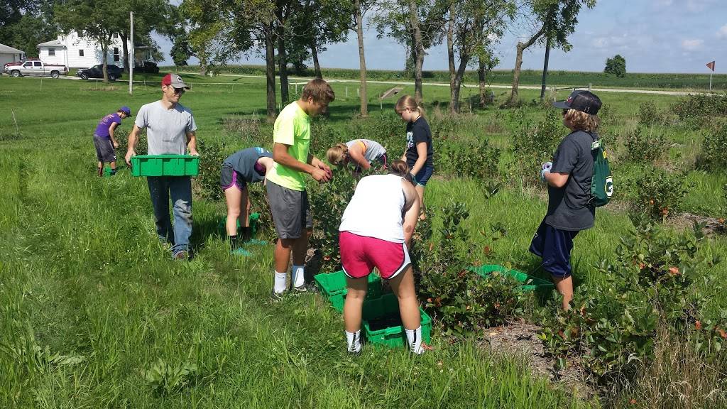 LIFE- Levis Indigenous Fruit Enterprises | restaurant | 1045 210th St, Keota, IA 52248, USA | 3199611438 OR +1 319-961-1438