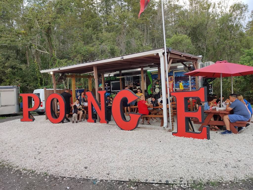 El Sabor Ponceño | restaurant | 5226 Gunn Hwy, Tampa, FL 33624, USA | 8635210201 OR +1 863-521-0201