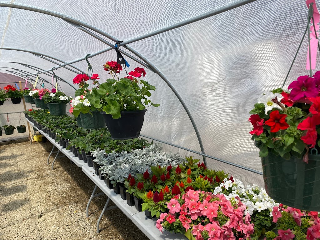 Lazy Breeze Farm and The Burger Buggy | restaurant | 155 Burnham Rd, Waltham, VT 05491, USA | 8027714685 OR +1 802-771-4685