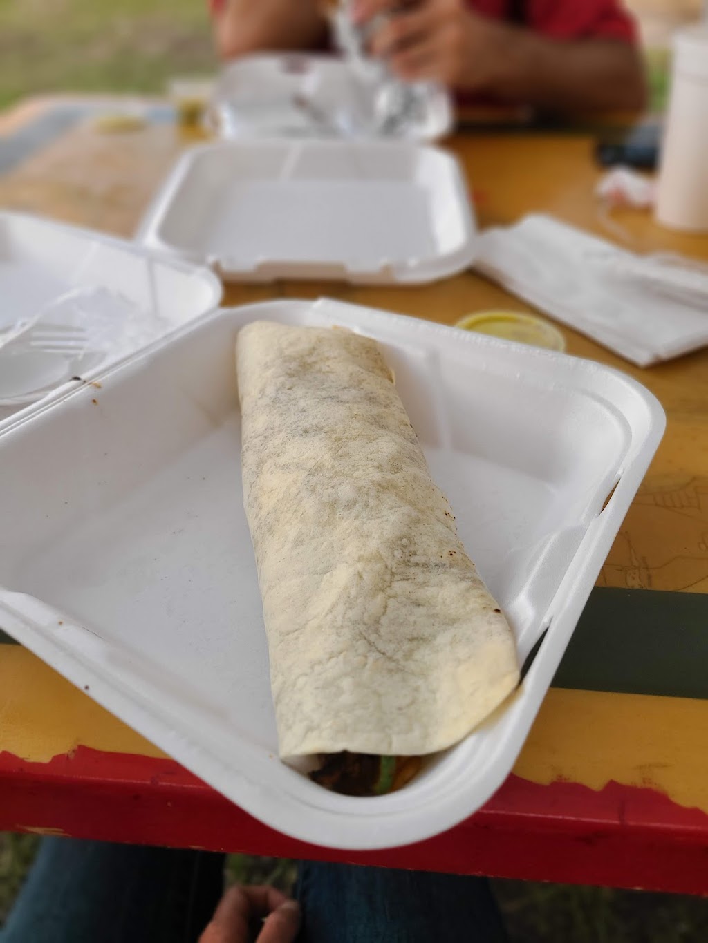 Taqueria El Nopal | restaurant | 807 N Grant St, Fitzgerald, GA 31750, USA | 2292567205 OR +1 229-256-7205