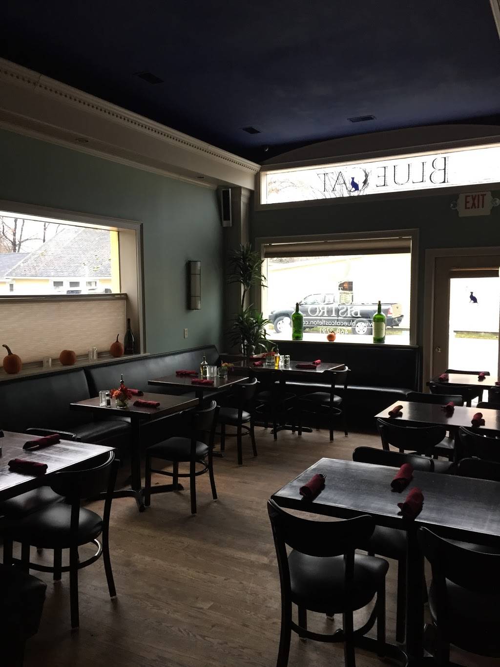Blue Cat Bistro | restaurant | 575 Main St, Castleton, VT 05735, USA | 8024682791 OR +1 802-468-2791