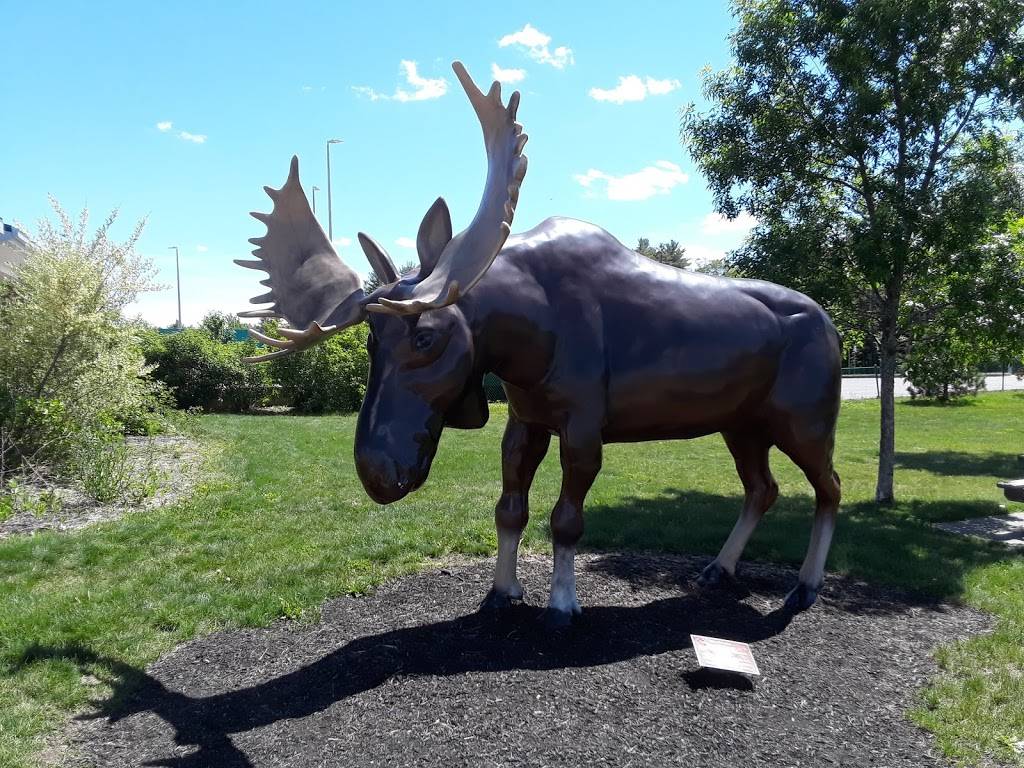 West Gardiner Service Plaza | restaurant | West Gardiner, ME 04345, USA | 2078354040 OR +1 207-835-4040