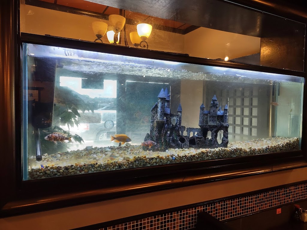 Diamond Head Restaurant | restaurant | 1214 Porter Wagoner Blvd, West Plains, MO 65775, USA | 4172564888 OR +1 417-256-4888