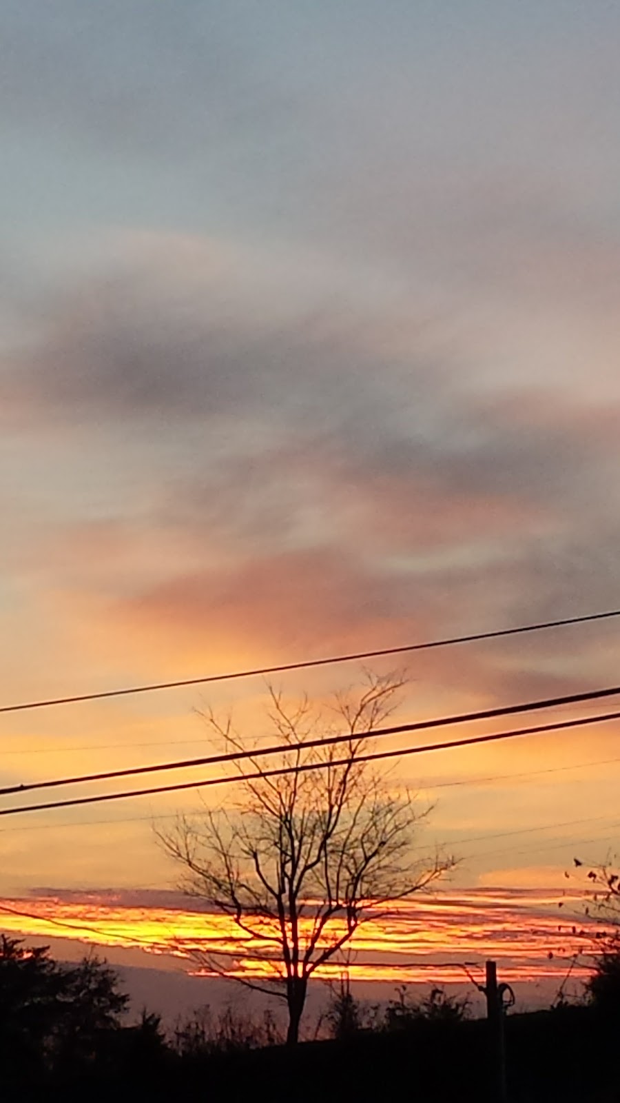 Shell | restaurant | 6302 Maynardville Hwy, Maynardville, TN 37807, USA | 8659924930 OR +1 865-992-4930