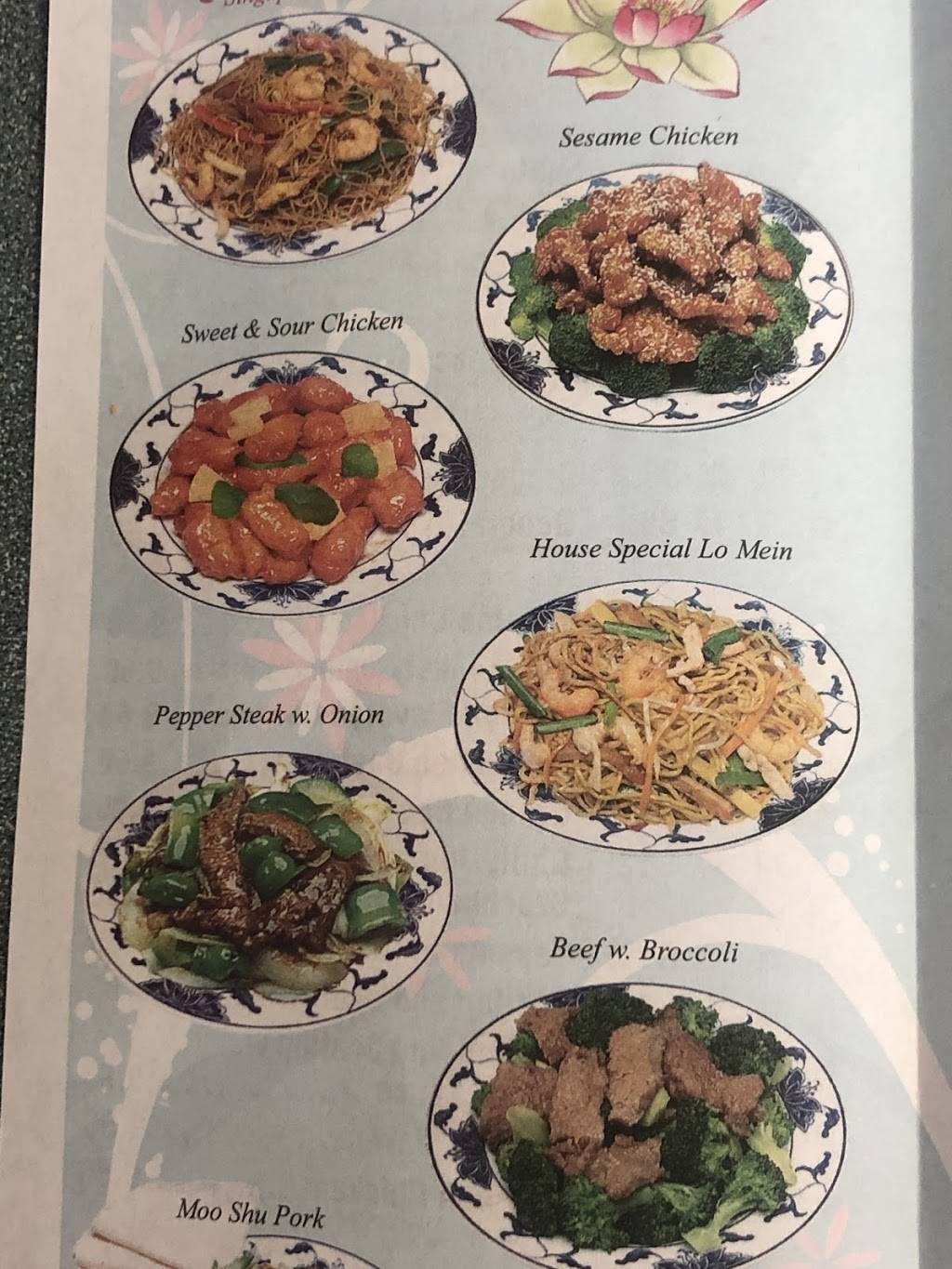 Ginger Wok Chinese Restaurant | meal delivery | 7900 103rd St Unit 28, Jacksonville, FL 32210, USA | 9047727778 OR +1 904-772-7778