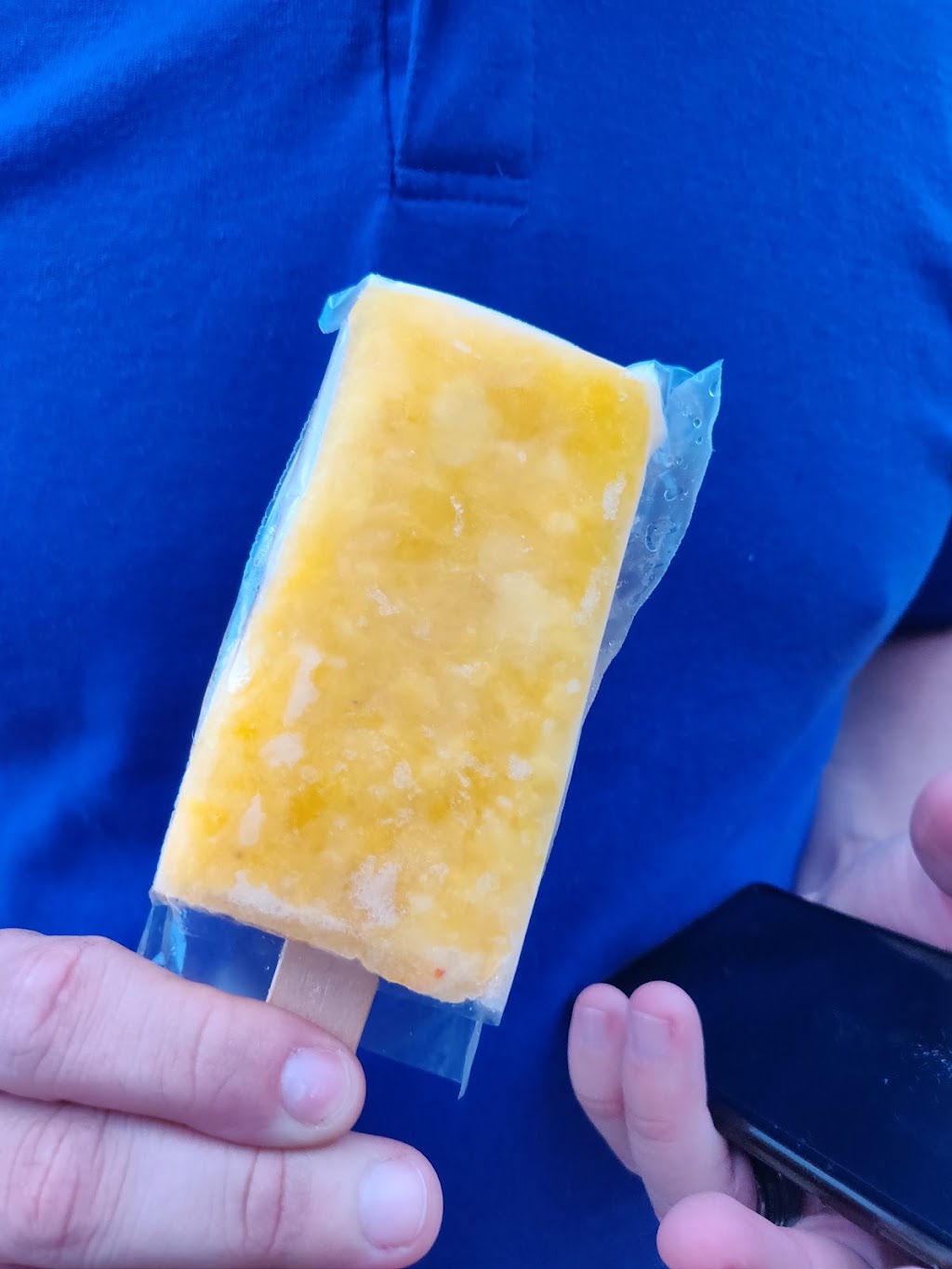 Neveria la Poblanita inc | restaurant | 2749 W 71st St, Chicago, IL 60629, USA | 7737890427 OR +1 773-789-0427