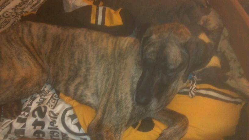 Subway | restaurant | 1376 E Penn St, Muncy, PA 17756, USA | 5709350466 OR +1 570-935-0466