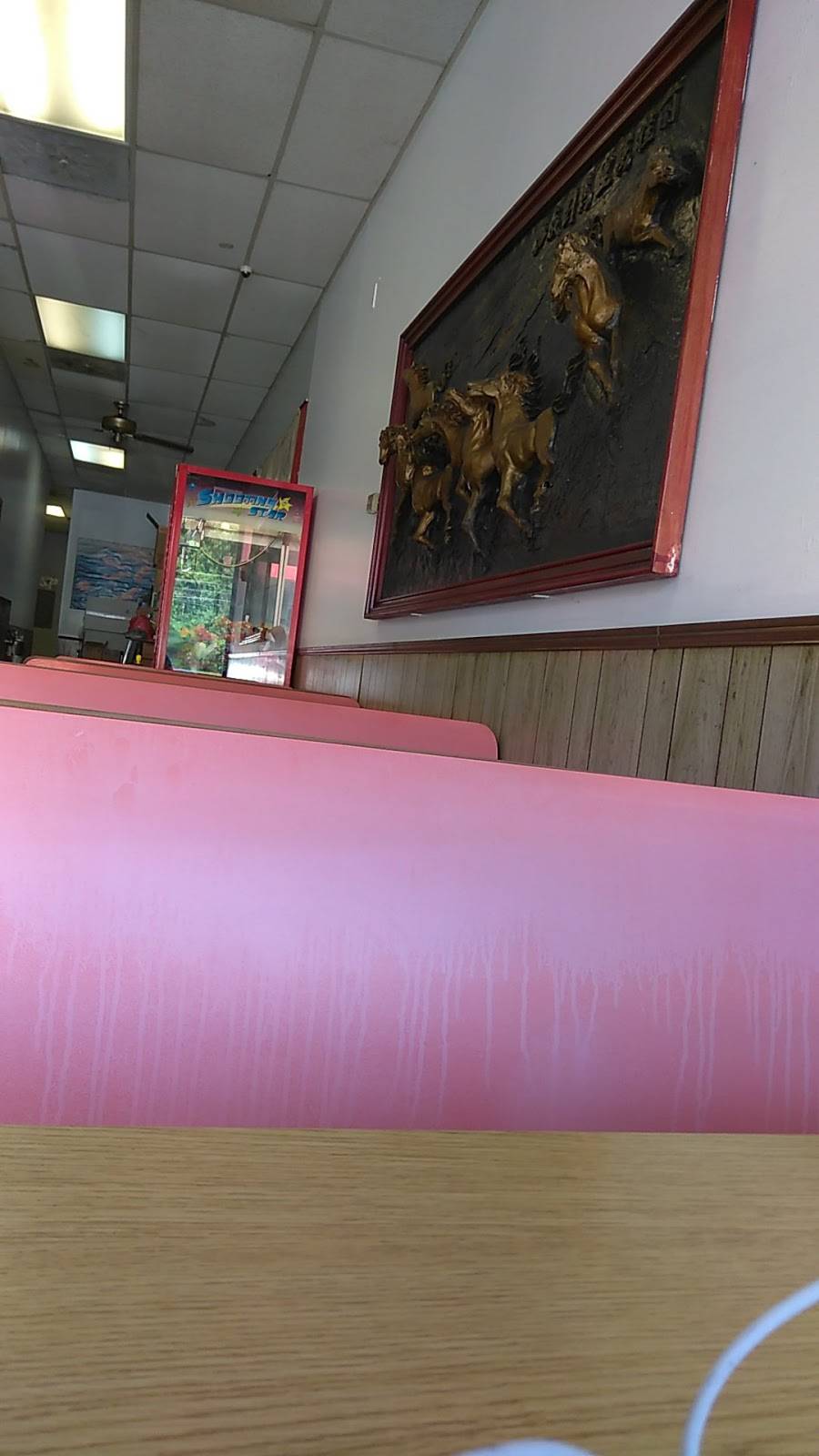 Yum Yum Express Chinese Restaurant | restaurant | 6877 Dorchester Rd # 1, Charleston, SC 29418, USA | 8437671828 OR +1 843-767-1828