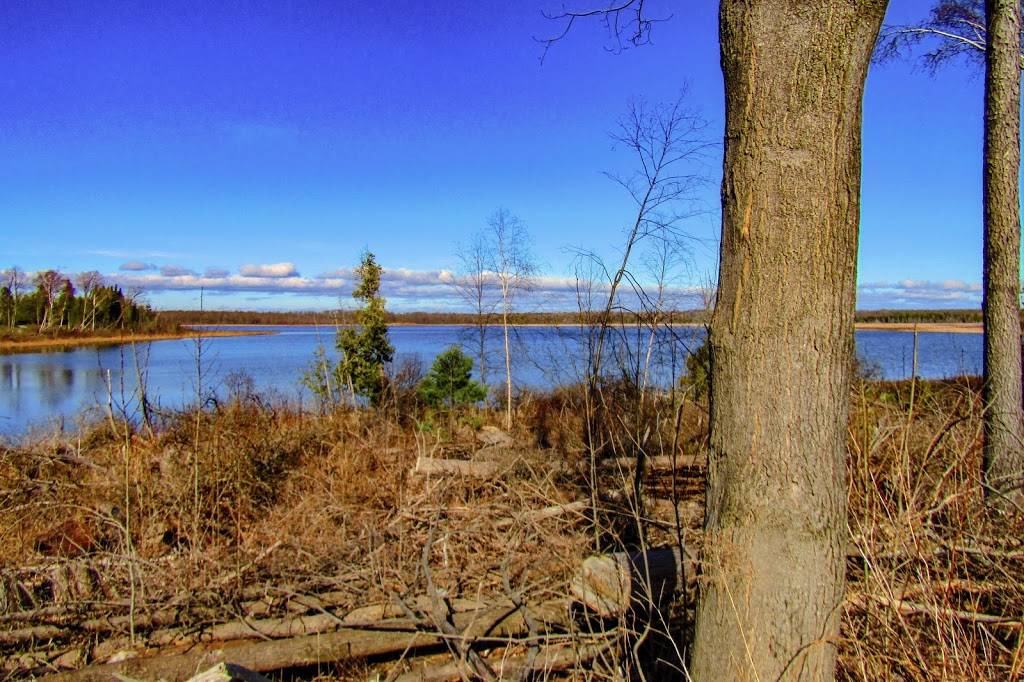 Marlwood Golf & Country Club | restaurant | 31 Marlwood Ave, Wasaga Beach, ON L9Z 1S8, Canada | 7053525600 OR +1 705-352-5600