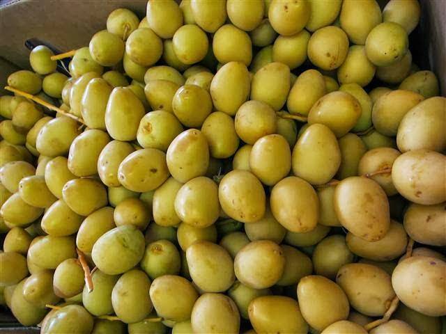 Al Khyam Bakery & Grocery | bakery | 4738 N Kedzie Ave, Chicago, IL 60625, USA | 7735833077 OR +1 773-583-3077