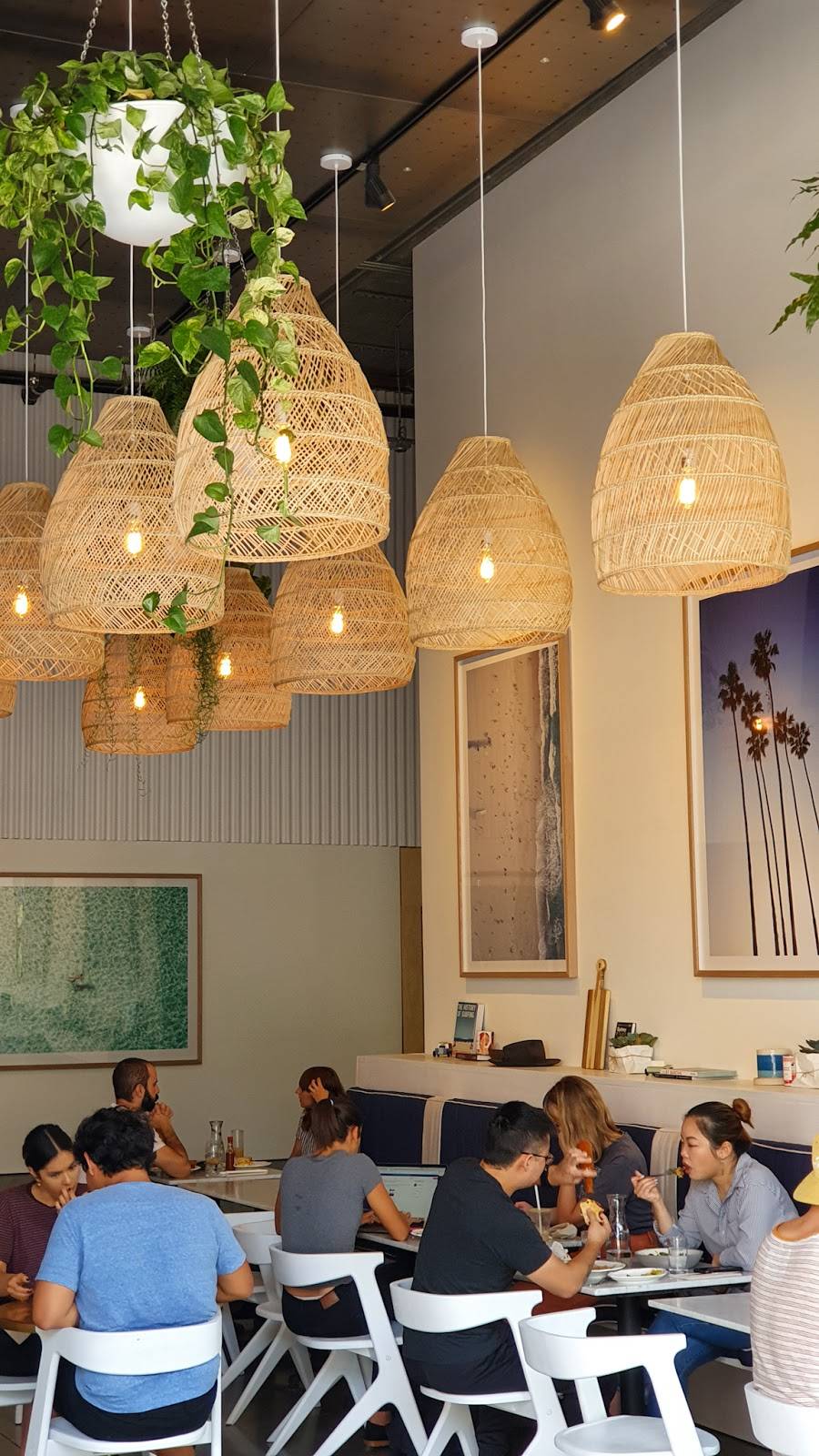 Bondi Harvest Culver City | restaurant | 8820 Washington Blvd ste. 101, Culver City, CA 90232, USA | 4245513930 OR +1 424-551-3930