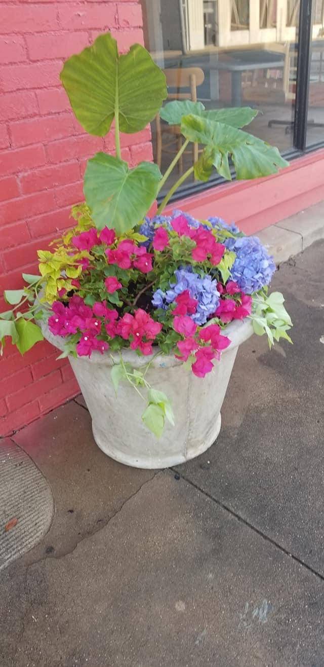 El lagunero de Jacksonville tx | restaurant | 215 S Ragsdale St, Jacksonville, TX 75766, USA | 9033303796 OR +1 903-330-3796