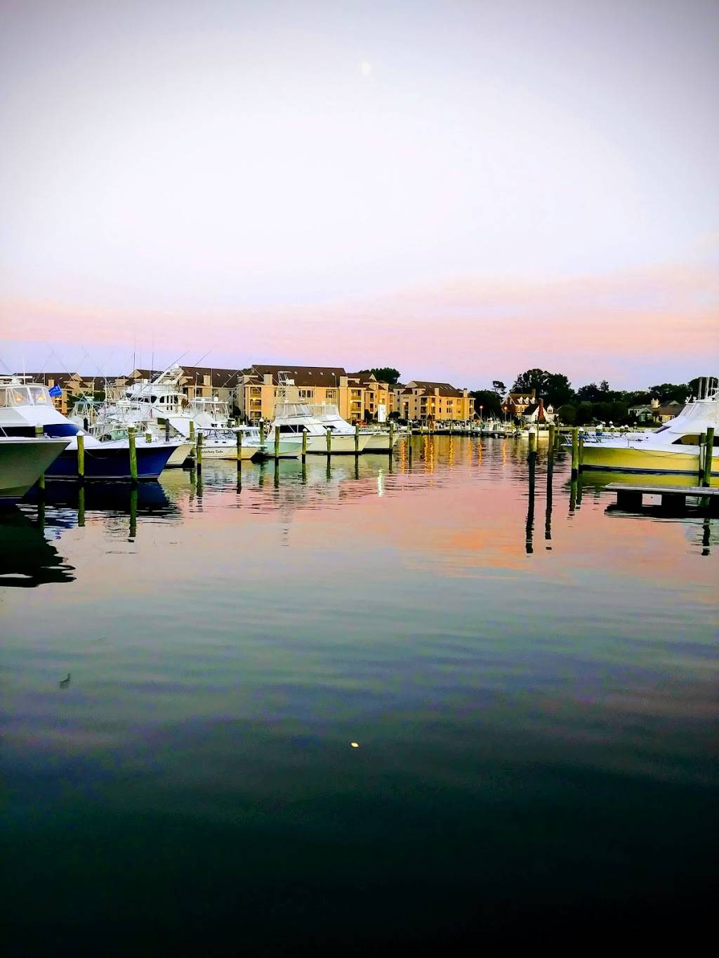 The Dock Grill | restaurant | 524 Winston Salem Ave, Virginia Beach, VA 23451, USA | 7574281667 OR +1 757-428-1667