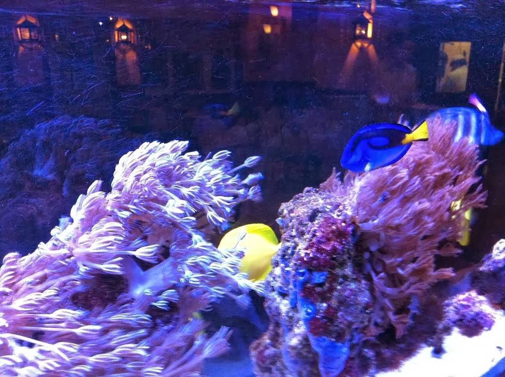 Restaurant Son Lam | restaurant | 3044 Route Lagueux, Saint-Étienne-de-Lauzon, QC G6J 1K2, Canada | 4188316668 OR +1 418-831-6668