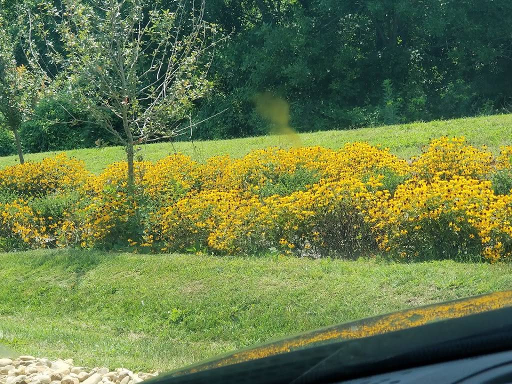 Sonic Drive-In | restaurant | 7679 Hwy 70 S, Nashville, TN 37221, USA | 6156732921 OR +1 615-673-2921