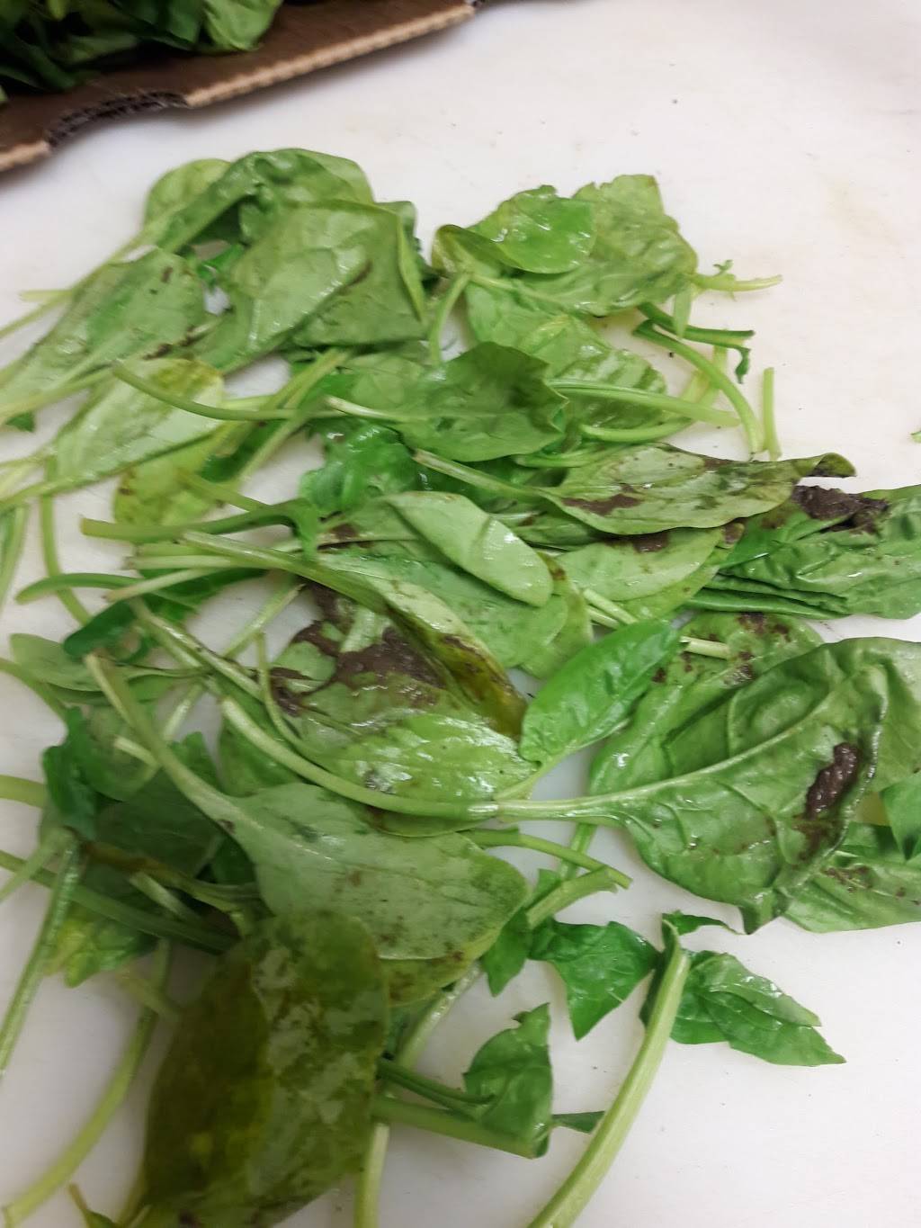 Fabrocinis Beverly Glen | restaurant | 2960 Beverly Glen Cir, Los Angeles, CA 90077, USA | 3104757404 OR +1 310-475-7404