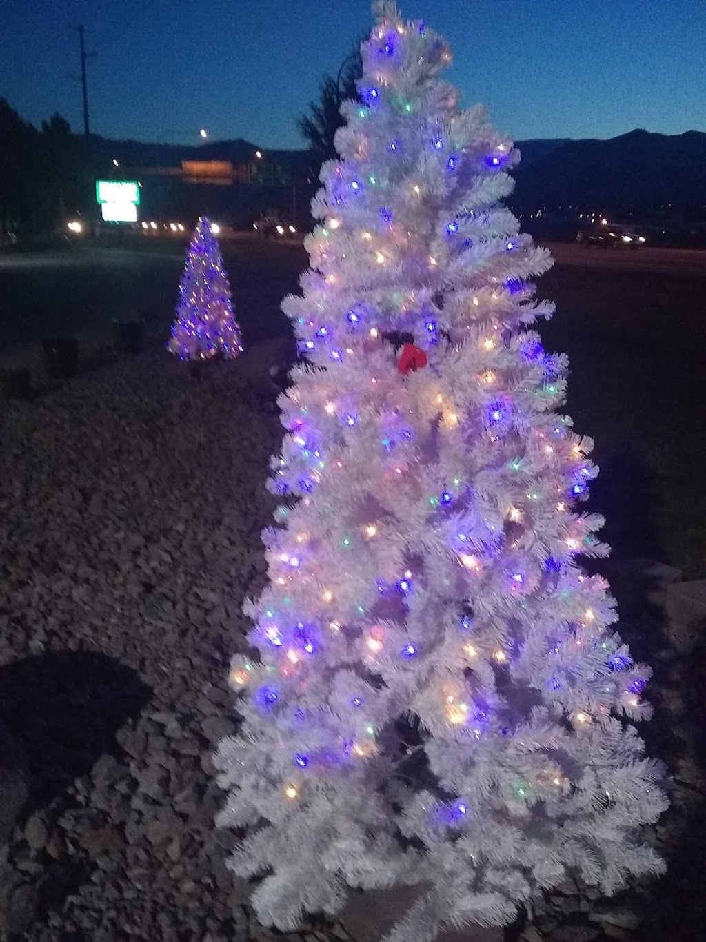 Clearwater Saloon & Casino | restaurant | 838 Valley Mall Pkwy #4842, East Wenatchee, WA 98802, USA | 5098882003 OR +1 509-888-2003