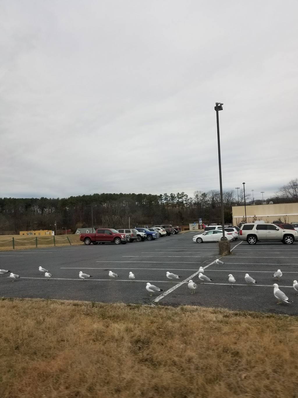 China Wok | meal takeaway | 1019 S Main St, Woodstock, VA 22664, USA | 5404592885 OR +1 540-459-2885