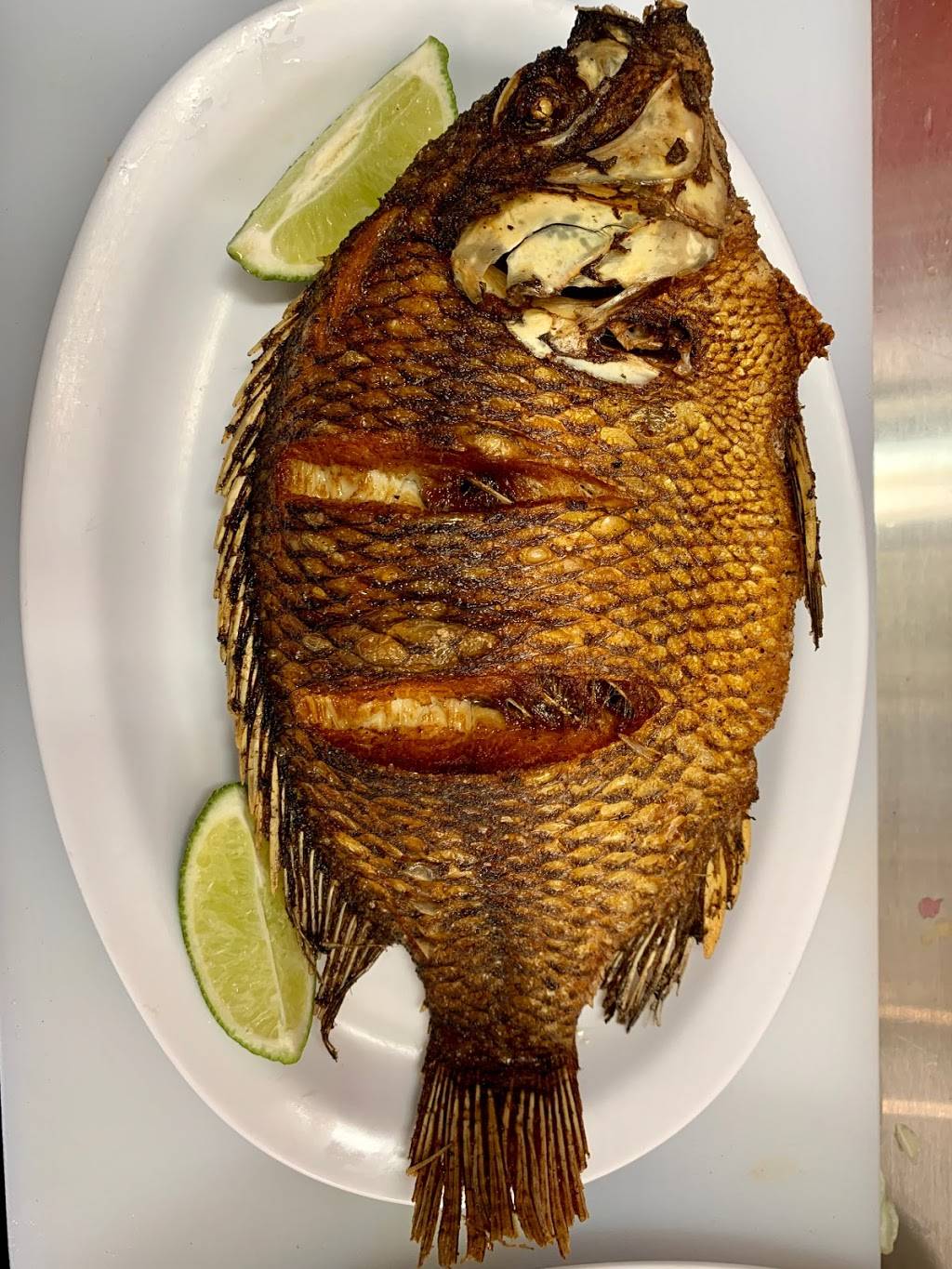 El Nopal Restaurant | restaurant | 577 Western Ave, Lynn, MA 01904, USA | 3394405016 OR +1 339-440-5016