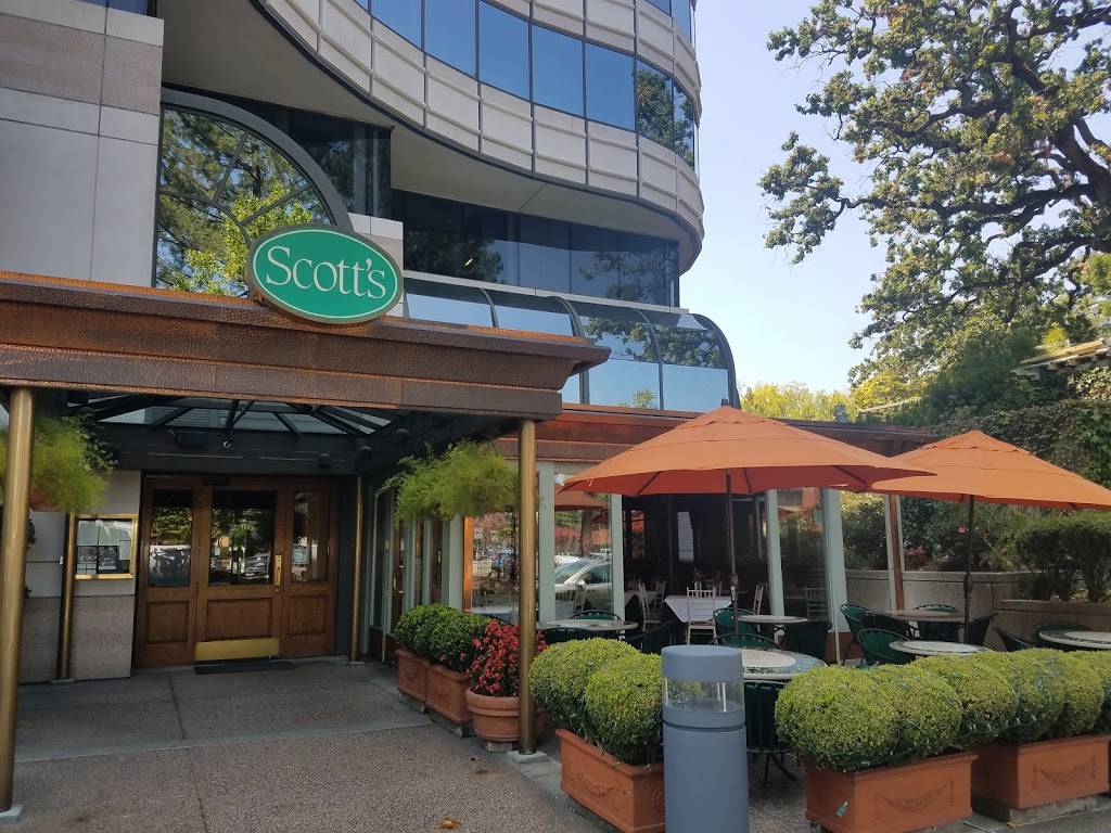 Scotts Seafood Restaurant | restaurant | 1333 N California Blvd, Walnut Creek, CA 94596, USA | 9259341300 OR +1 925-934-1300