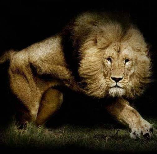 Jamba Juice Skywest Commons | restaurant | 19651 Hesperian Blvd, Hayward, CA 94541, USA | 5102651485 OR +1 510-265-1485