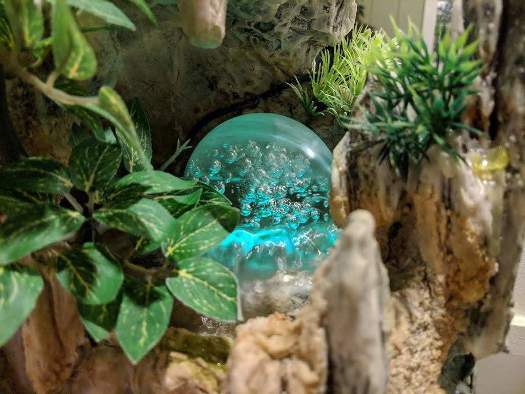 An Hy Quan Vegetarian Restaurant | restaurant | 1405 Juan Tabo Blvd NE #4405, Albuquerque, NM 87112, USA | 5053328565 OR +1 505-332-8565