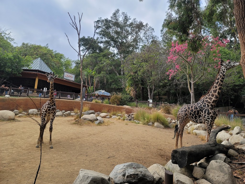 Zoo Grill | cafe | Los Angeles Zoo, Los Angeles, CA 90027, USA | 3236444200 OR +1 323-644-4200