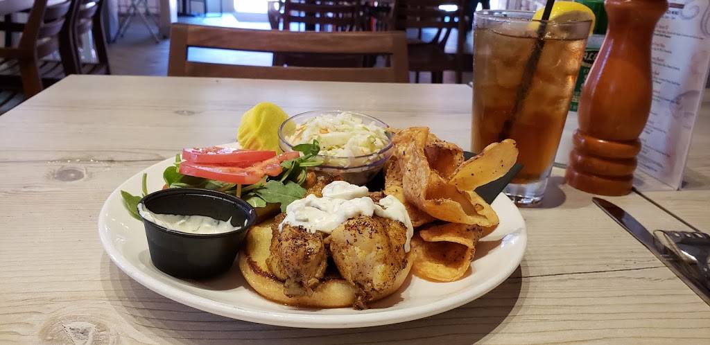 Frankies Lobstah Trap Raw Bar And Grill | restaurant | 2223 N Westshore Blvd b213, Tampa, FL 33607, USA | 8139063219 OR +1 813-906-3219