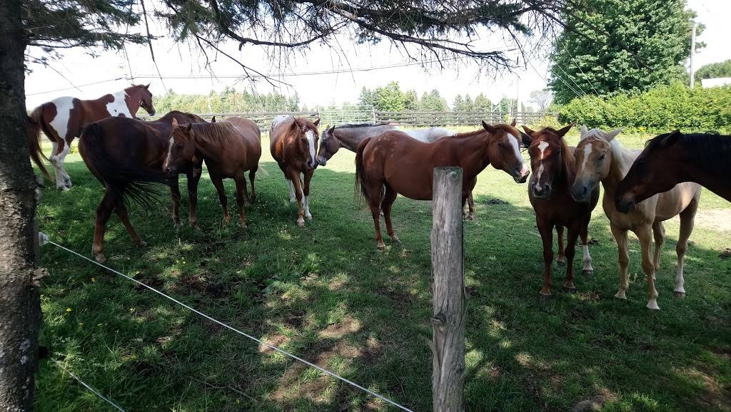 Restaurant 108 | restaurant | 444 QC-108, Cookshire-Eaton, QC J0B 1M0, Canada | 8198751043 OR +1 819-875-1043