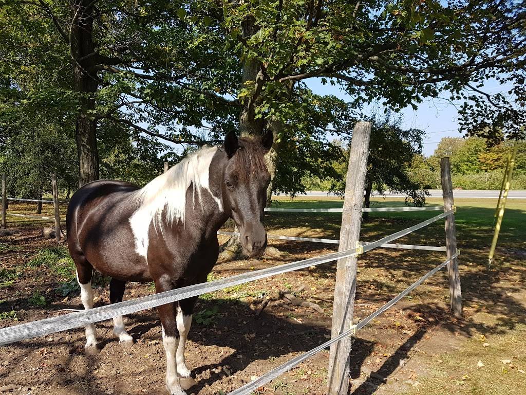 Vergers Cassidy | restaurant | ,JOS-1EO, 2910 QC-202, Franklin, QC J0S 1E0, Canada | 4508272000 OR +1 450-827-2000