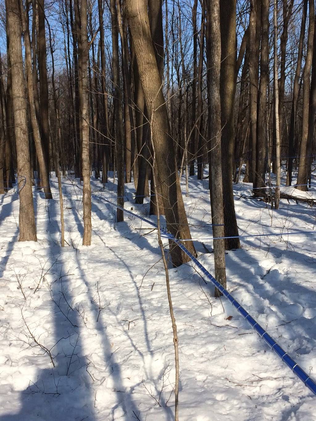 Greenlane Maple | restaurant | 2875 Greenlane east, East Hawkesbury, ON K6A 2R2, Canada | 6136764035 OR +1 613-676-4035