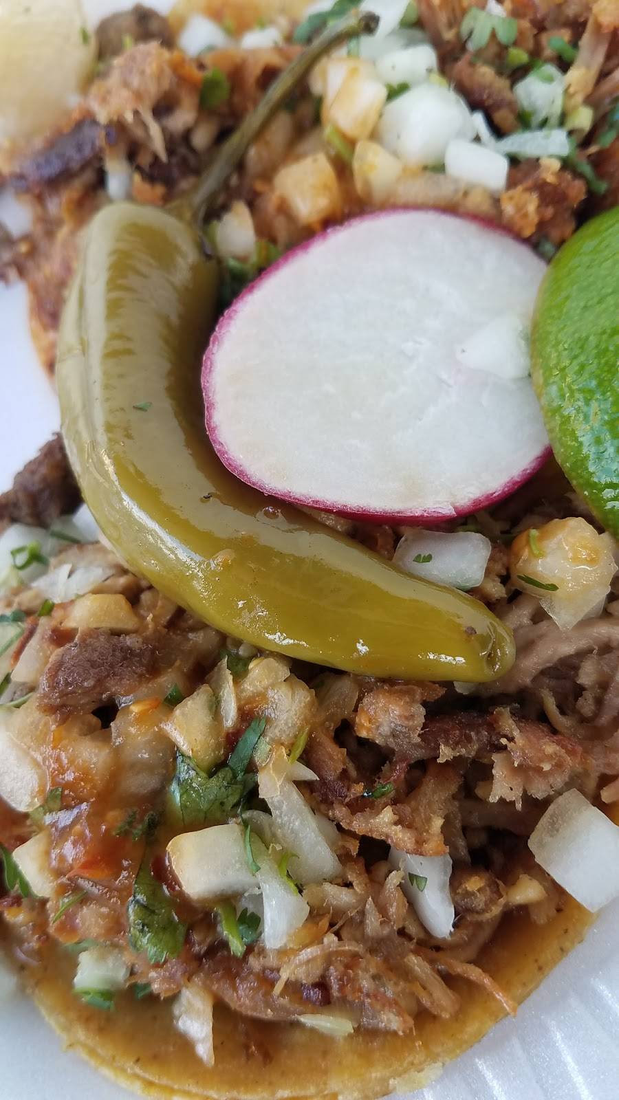 Tacos El Gordo | restaurant | 4201 International Blvd, Oakland, CA 94601, USA | 5105015103 OR +1 510-501-5103