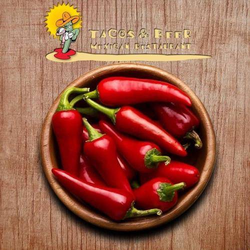 Tacos and Beer | Mexican Restaurant | restaurant | 5335 Old Hwy 5 #101, Woodstock, GA 30188, USA | 6784450762 OR +1 678-445-0762