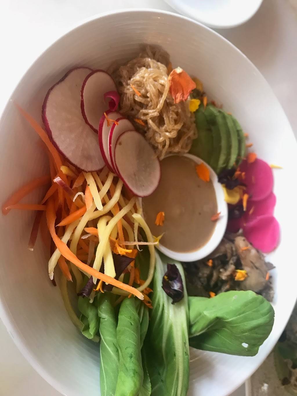 Plant Miami | restaurant | 105 NE 24th St, Miami, FL 33137, USA | 3058145365 OR +1 305-814-5365