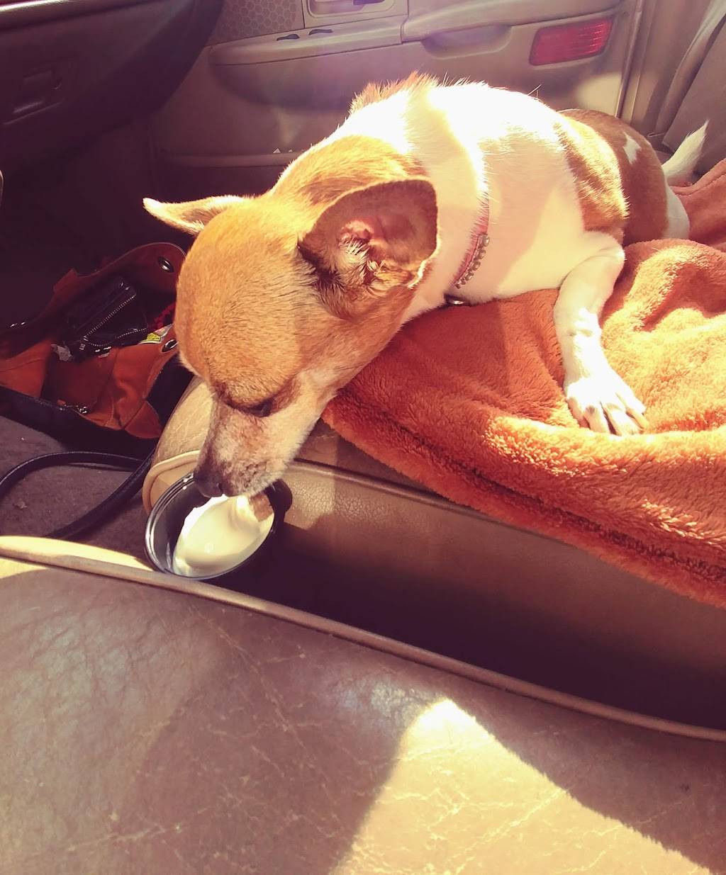 Dairy Queen Grill & Chill | restaurant | 2110 Northern Lights Blvd, Lino Lakes, MN 55038, USA | 6514266310 OR +1 651-426-6310