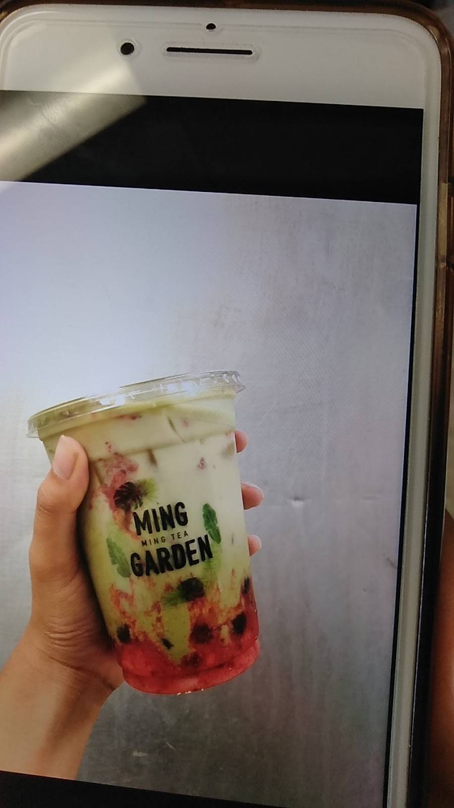 Ming Garden Restaurant | restaurant | 2510 Montgomery St, Savannah, GA 31401, USA | 9122316688 OR +1 912-231-6688