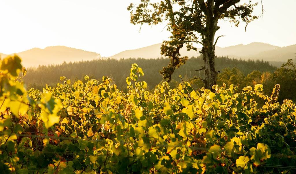 Chris James Cellars | Award winning wines | distinctive whites.  | meal takeaway | 12000 Old Wagon Rd, Carlton, OR 97111, USA | 5038521135 OR +1 503-852-1135