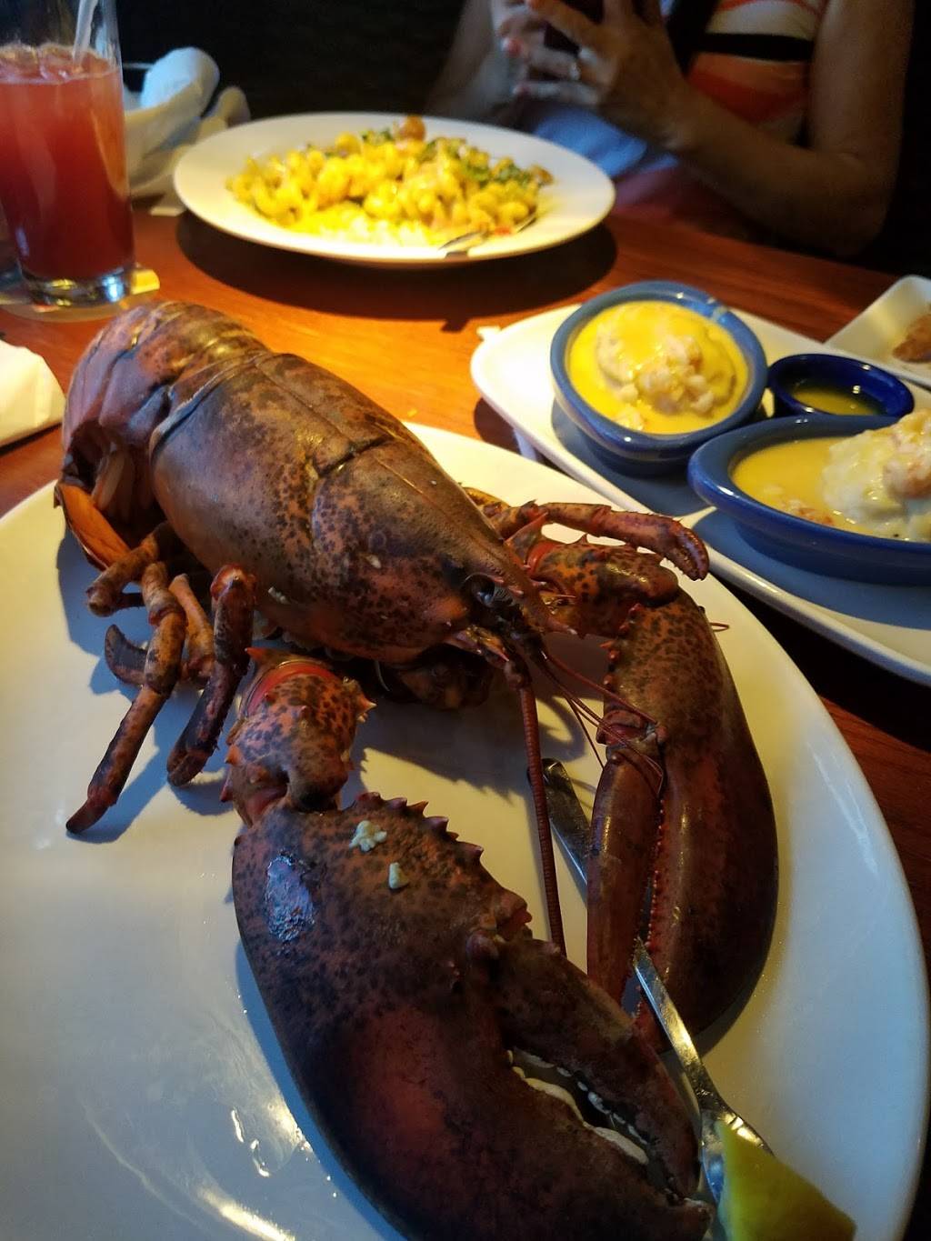 Red Lobster | restaurant | 2810 N 75th Ave, Phoenix, AZ 85035, USA | 6232453020 OR +1 623-245-3020