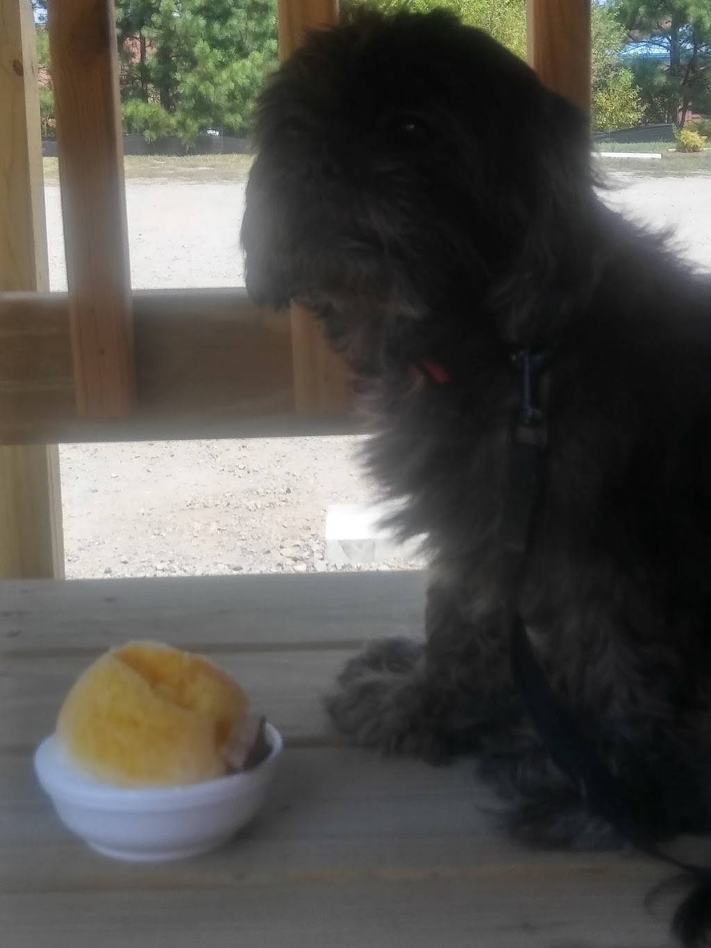 Pelicans Snoballs Red Bank | restaurant | 1848 S Lake Dr, Lexington, SC 29073, USA | 8034138007 OR +1 803-413-8007