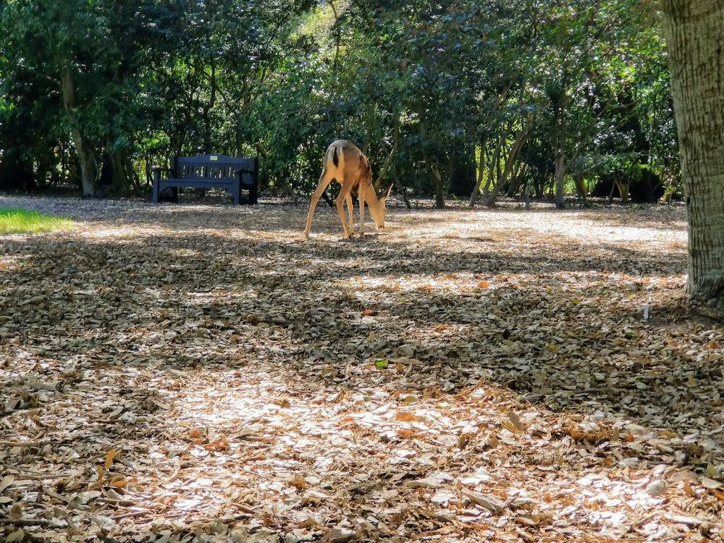 Maple at Descanso Gardens | restaurant | 1418 Descanso Dr, La Cañada Flintridge, CA 91011, USA | 8188646435 OR +1 818-864-6435