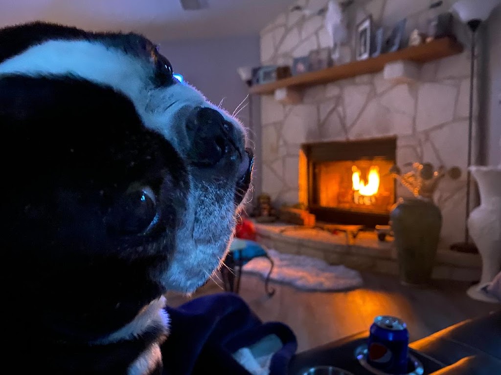 Skewers | restaurant | That place on blanco, San Antonio, TX 78231, USA | 2102015484 OR +1 210-201-5484