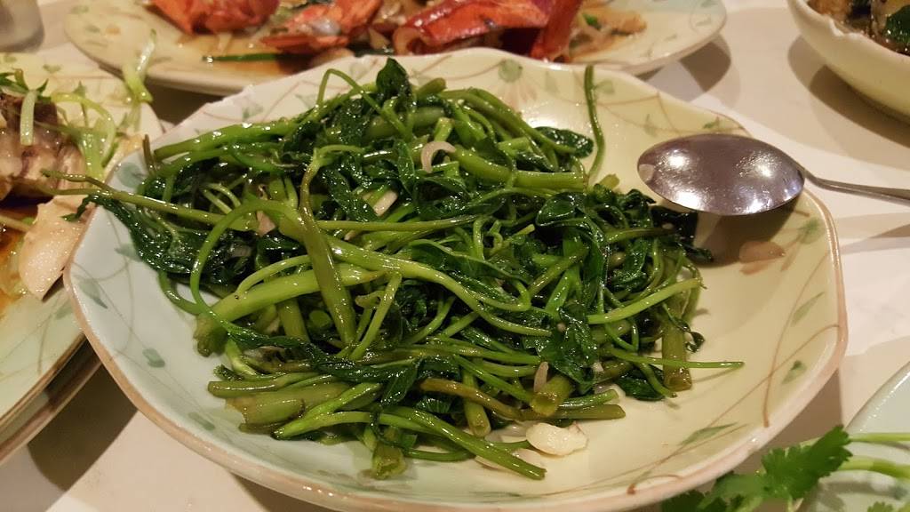 Lucky Star Chinese Restaurant | restaurant | 4175 66th St N, St. Petersburg, FL 33709, USA | 7273818888 OR +1 727-381-8888