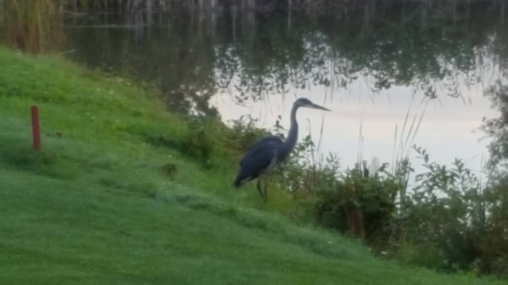 Marlwood Golf & Country Club | restaurant | 31 Marlwood Ave, Wasaga Beach, ON L9Z 1S8, Canada | 7053525600 OR +1 705-352-5600